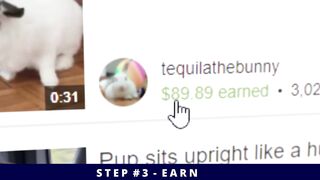 Copy & Paste Videos And Earn $178 Per Video