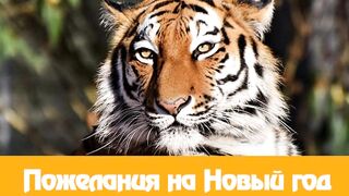 Смотреть Видео Музыку С Новым Годом 2022 Смотреть Видео Музыку С Новым Годом 2022