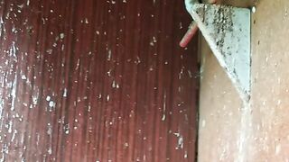 Goldfinch willingly copies motives