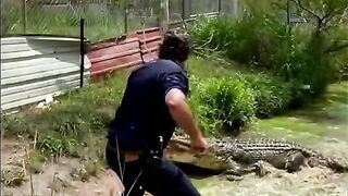 The second part, the aligator stern.