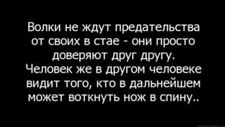 Старейшина чеченской диаспоры про фальшивых друзей Апти Висаева.