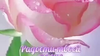 Радости твоей душе!