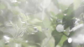 Soft Raining white noise sounds #febspot #febspotviral #febspottrending