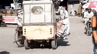 Pakistani????Raksha????| Pakistani loaded Raksha