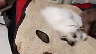 So cute