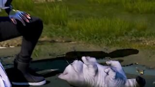 Pubg New Video 2023