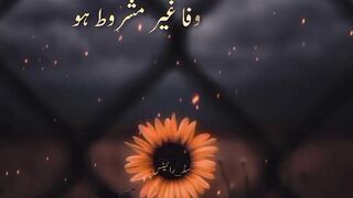 Best Urdu quotes about women and man story عورت کی وفا