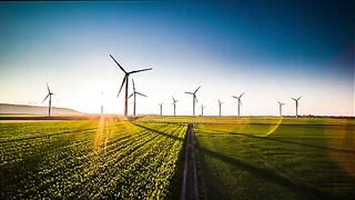 Nature video of the world