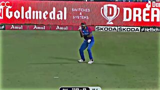 Cricket