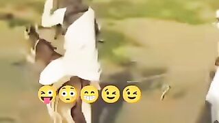 Funny boy