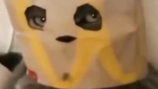 Funny cats Moments vedio