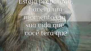 Motivaçaodiaria