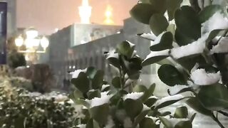 Ya Allah Tmam Momineen Ki Hajjat Qabool farma Ameen