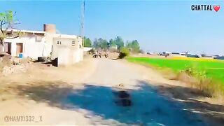 My village