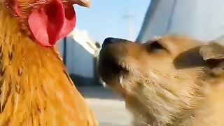 best friends ???? | memes videos | funny videos | subscribe