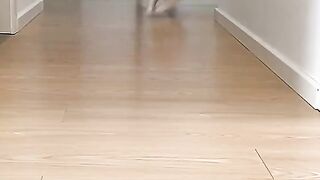 Funny dog #funny cats #funny animals