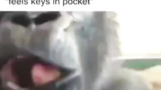 Обизеан
