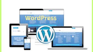 WordPress Website Now Here (2023)