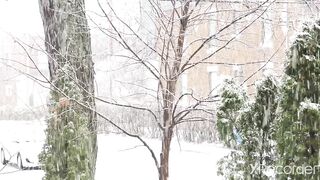 Snow fall