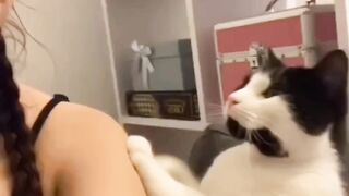 Cat lover