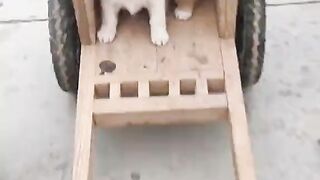 funny ????????