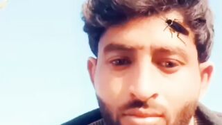funnyvideo short funny video