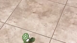 Emoin Dancing Cactus Baby Toys 6 to 12 Months, Talking Cactus Toys Repeats What You Say Baby Boy Toys, Dancing Cactus