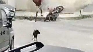 Funny moment