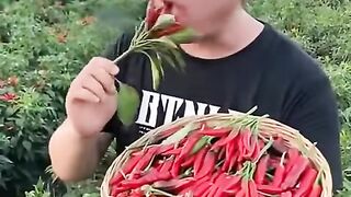 fresh vegetables