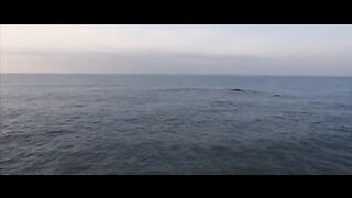 couple love on beach