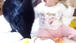 Cat play with Baby
