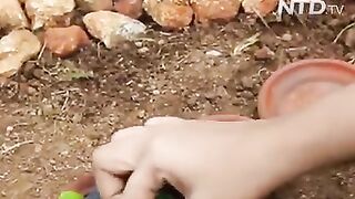 Tiny food biryani  new styles