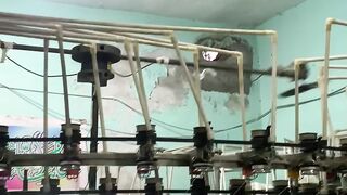 How to make imported fabric