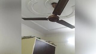 International Delhi Earthquake