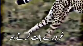 Khuda se.