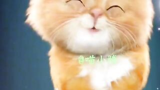 Cute cat????