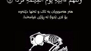 Quran Tilawat beautiful voice @allahmessage
