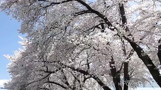 aa kahin dur chale jayen hum bollywood songs,aa kahin dur chale,old hindi songs,