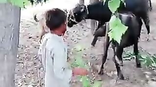 Ye bache kya kr rhe hen