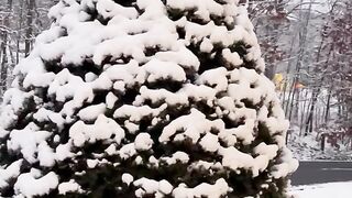 Winter snow