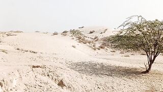 Rahim Yar khan Desert ????️|