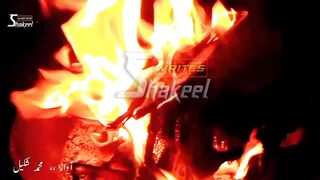 New WhatsApp Status 2023 Qismat Shakeel5557 New Video 2023