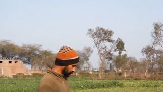 Best Largest Dogs Breed in Pakistan