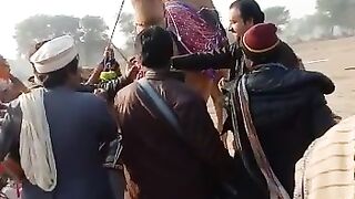 Camel My Life