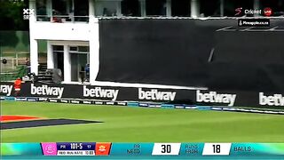 Amazing batting cricket sports