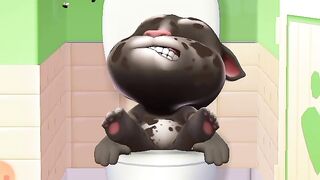 Cute cat ????????