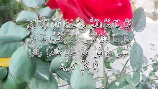 Surah al Qasass verses very beautiful Recitation by IZ PRODUCTION