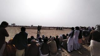 Saraiki dangal