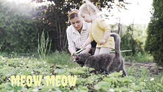 Sunny morning| cats |enjoy gardening
