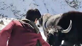 Gilgit baltestan snowfal